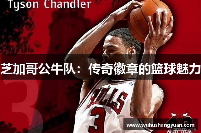 芝加哥公牛队：传奇徽章的篮球魅力