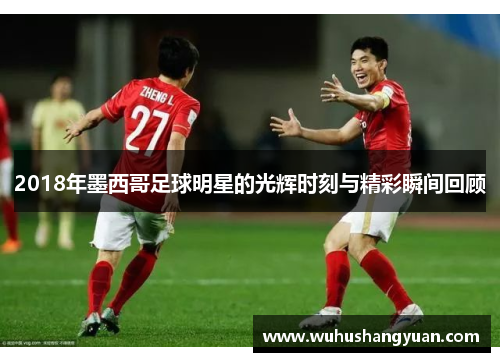 2018年墨西哥足球明星的光辉时刻与精彩瞬间回顾