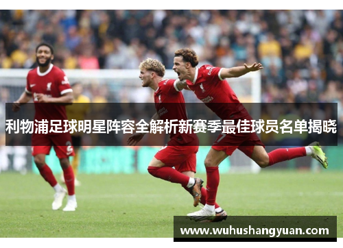 利物浦足球明星阵容全解析新赛季最佳球员名单揭晓